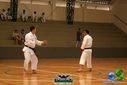 DSC05342.jpg
