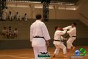DSC05343.jpg
