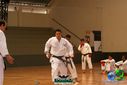 DSC05345.jpg