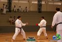 DSC05346.jpg
