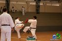 DSC05349.jpg