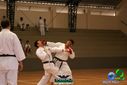 DSC05350.jpg