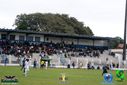DSC00502.jpg