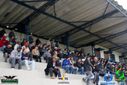 DSC00513.jpg