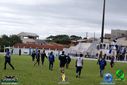 DSC00553.jpg