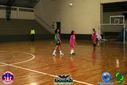 Filename=DSC05655.jpg
Filesize=84KiB
Dimensions=790x527
Date added=Sep 26, 2013 DSC05655.jpg