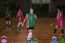 Filename=DSC05657.jpg
Filesize=85KiB
Dimensions=790x527
Date added=Sep 26, 2013 DSC05657.jpg