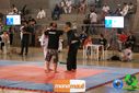 DSC01246.jpg