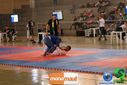 DSC01247.jpg