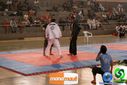 DSC01271.jpg