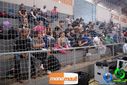 DSC01283.jpg