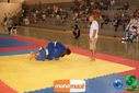 DSC01286.jpg