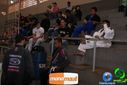 DSC01336.jpg