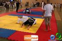 DSC01339.jpg