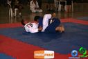 DSC01343.jpg