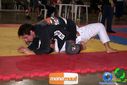 DSC01347.jpg