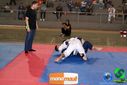 DSC01382.jpg