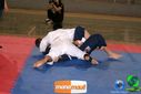 DSC01383.jpg