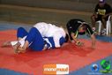 DSC01390.jpg
