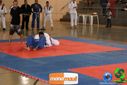 DSC01397.jpg