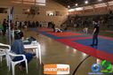 DSC01408.jpg