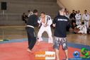 DSC01414.jpg