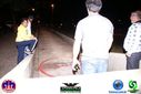 DSC05918.jpg