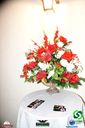 DSC08713.jpg