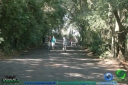 DSC02364.jpg