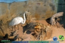 DSC02413.jpg