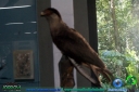DSC02414.jpg