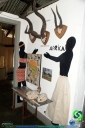 DSC02416.jpg