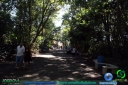 DSC02425.jpg