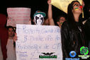 DSC08510.jpg