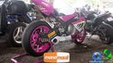 DSC04203.jpg
