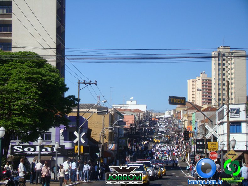 DSC01370.jpg