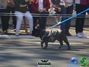 DSC01510.jpg