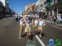DSC02262.jpg