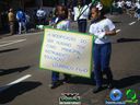 DSC02434.jpg
