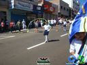 DSC02446.jpg