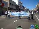 DSC02500.jpg