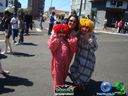 DSC02678.jpg