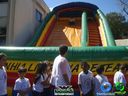 DSC02136.jpg