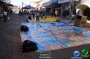 DSC07883.jpg
