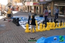 DSC07915.jpg