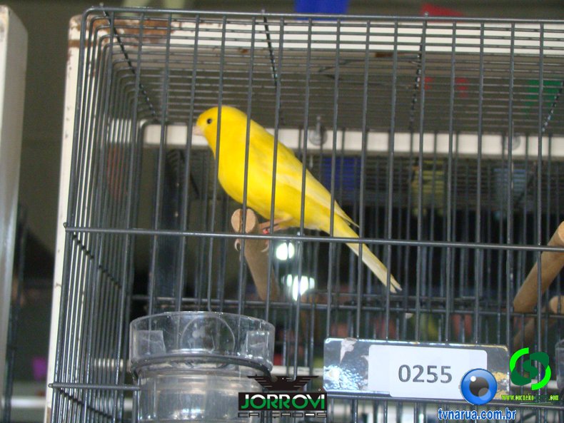 DSC00675.jpg