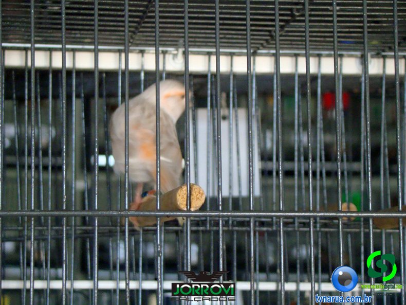 DSC00676.jpg