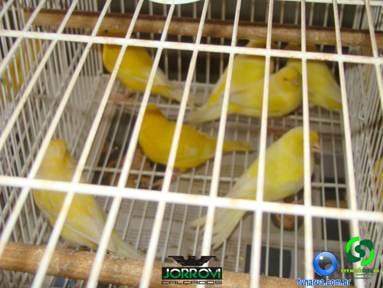 DSC00682.jpg