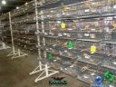 DSC00642.jpg