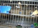 DSC00644.jpg